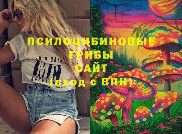 герыч Переславль-Залесский