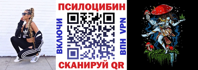 Галлюциногенные грибы Psilocybe  магазин    Саров 