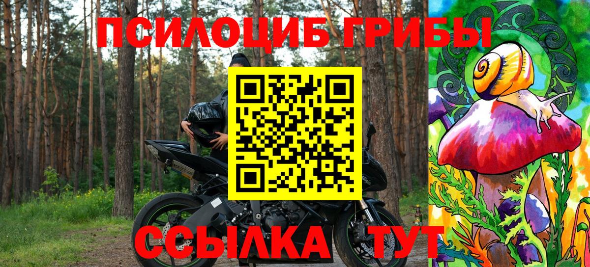 Псилоцибиновые грибы Psilocybe  Вход с VPN  Саров 