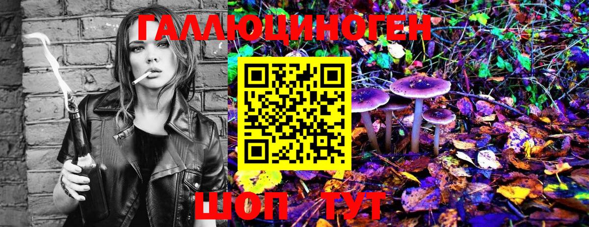 Галлюциногенные грибы Psilocybine cubensis Саров